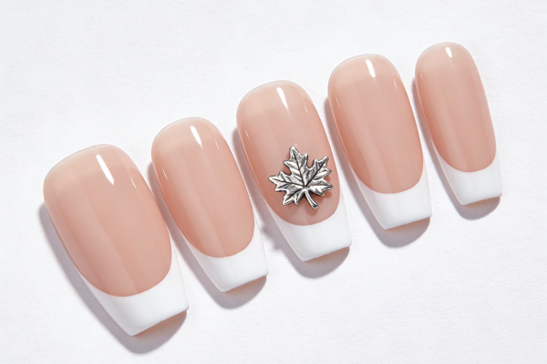 QQ图片20260123164030